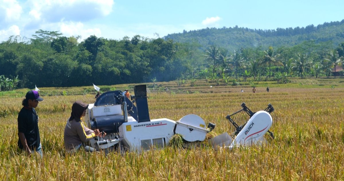 Upaya Bapanas Jaga Stabilitas Harga dan Cadangan Pangan di Tengah Cuaca Ekstrem