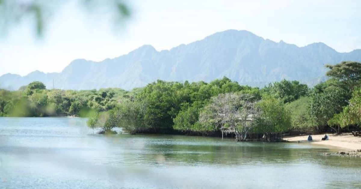 Program Community Forest Berpotensi Serap 600.000 Ton CO2 per Tahun