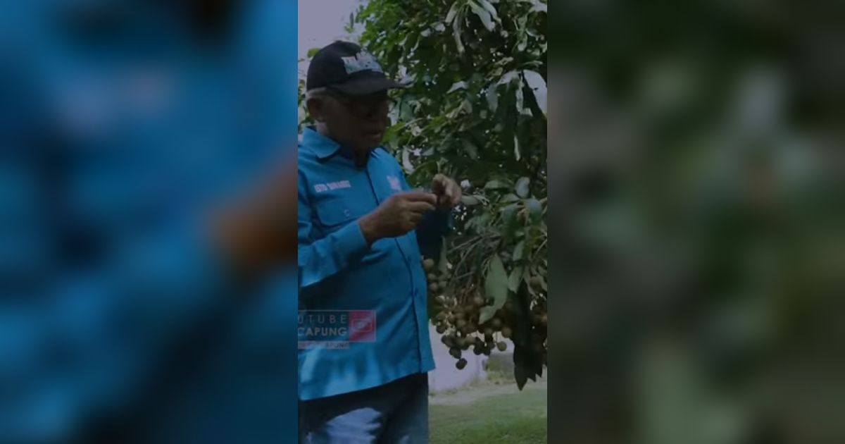 Pilih Resign dari Pegawai BUMN Demi Jadi Petani Kelengkeng