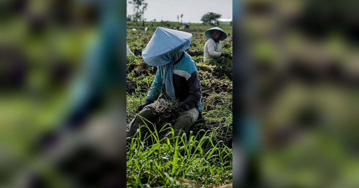 KTNA: Kontribusi BUMN Vital untuk Sektor Pangan, Bisa Jadi Katalisator Bagi Koperasi