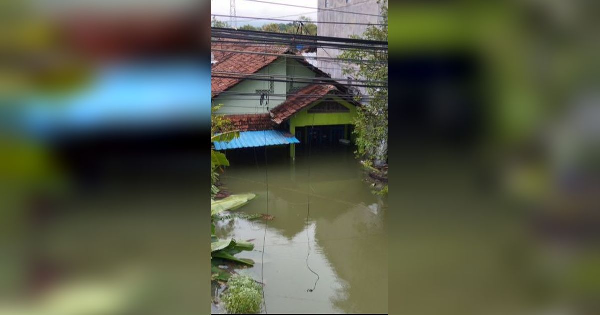 106 Lokasi TPS di Demak Terendam Banjir, Pemilu Susulan Diusulkan Jadi Opsi