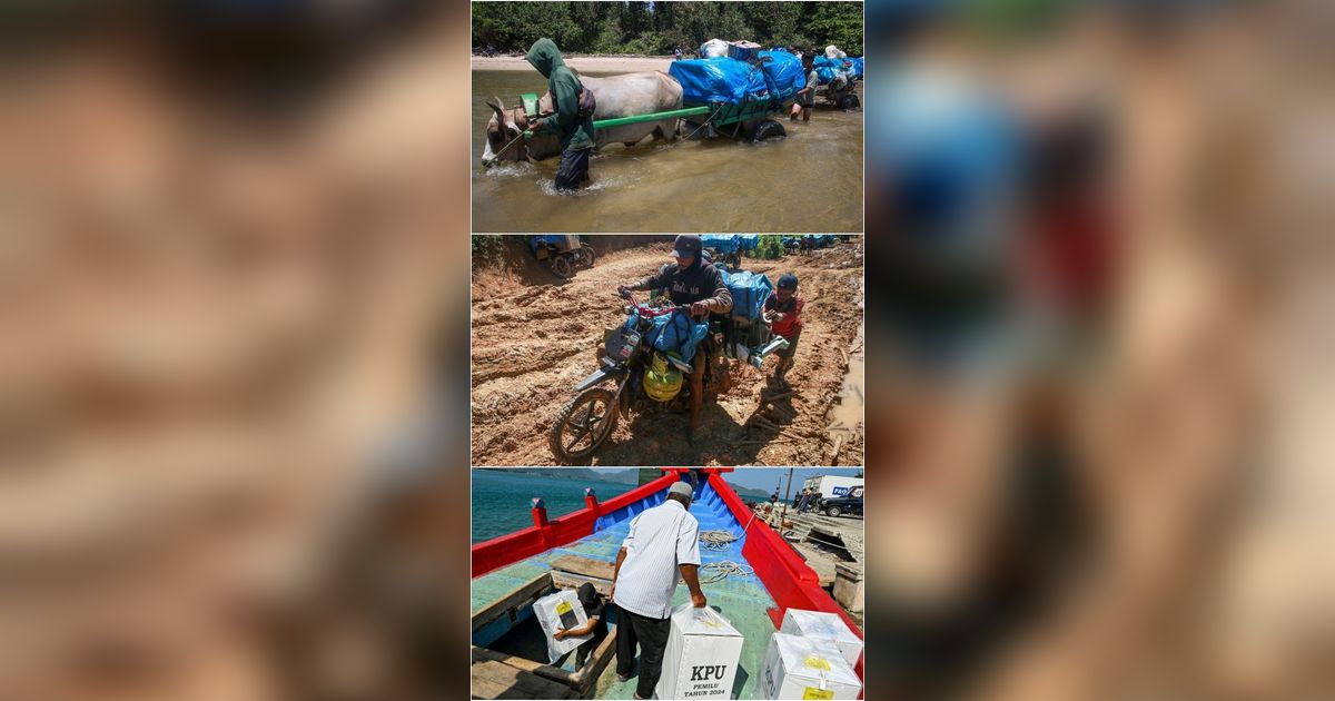 FOTO: Jerih Payah Petugas KPU Antar Logistik Pemilu 2024 ke TPS Terpencil, Dari Lewat Laut hingga Naik Gerobak Sapi Menerobos Lumpur