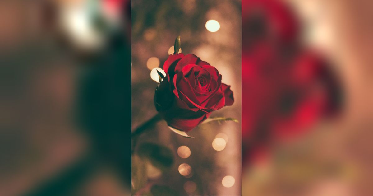 10 Rekomendasi Hadiah Valentine yang Romantis, Momen Indah di Hari Kasih Sayang