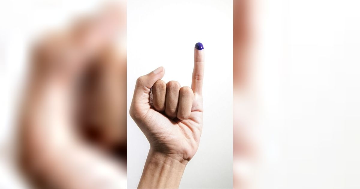 KPU dan Bawaslu Diminta Cepat Antisipasi Kerawanan Pemilu
