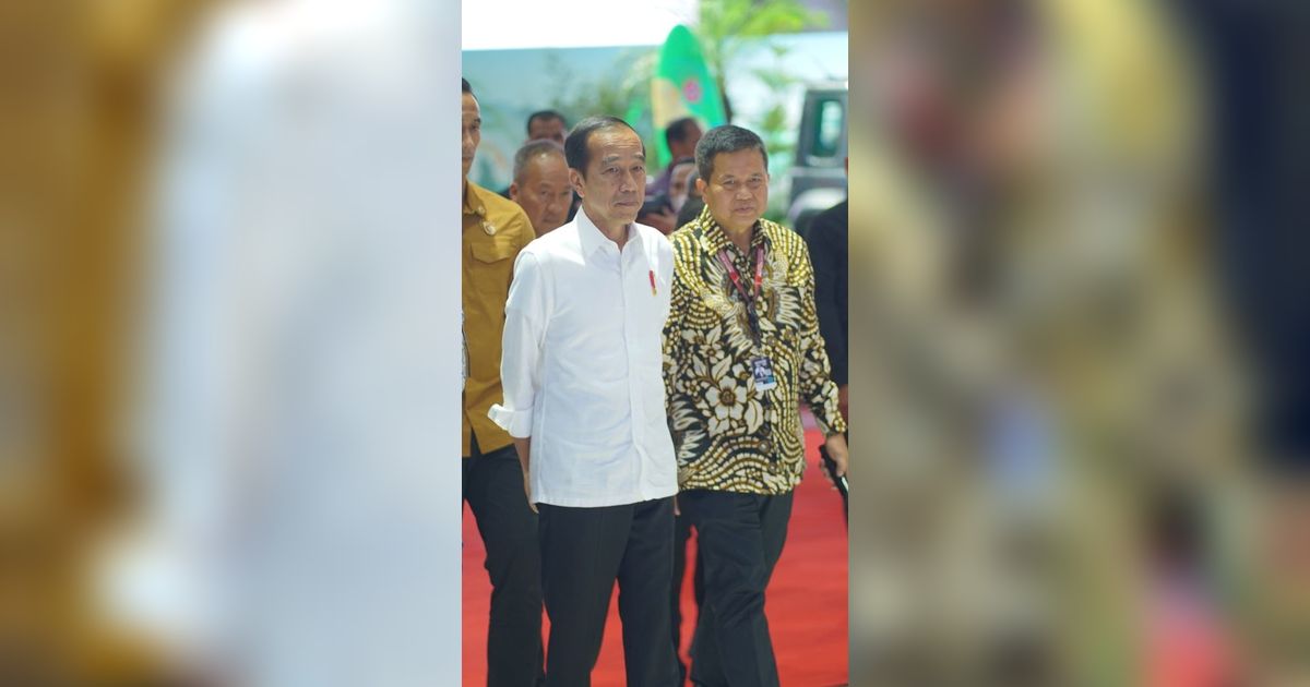 Jokowi Buka Suara Soal Rencana Bertemu Megawati