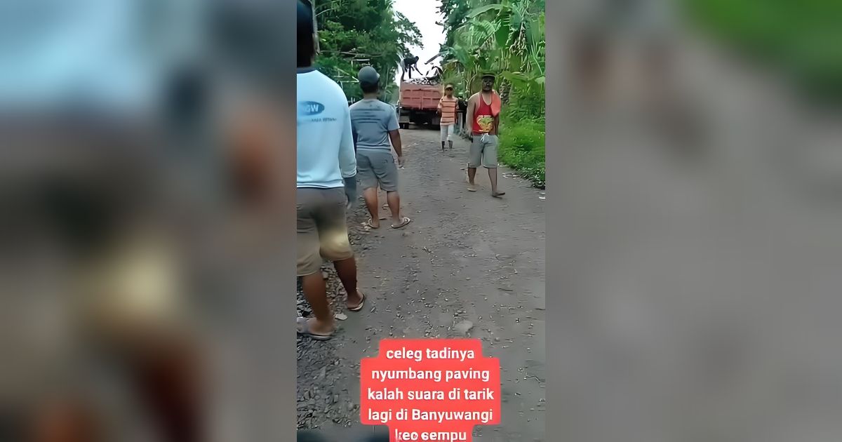 Viral Caleg di Banyuwangi Tarik Bantuan Paving Block karena Kalah di Pemilu 2024