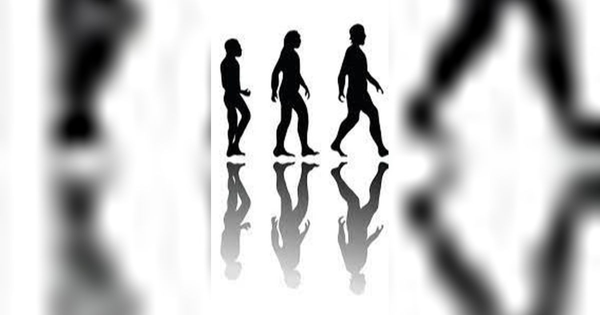 Meneruskan Teori Darwin, Ilmuwan Soroti Bagaimana Pertama Kali Manusia Bisa Berjalan Tegak?