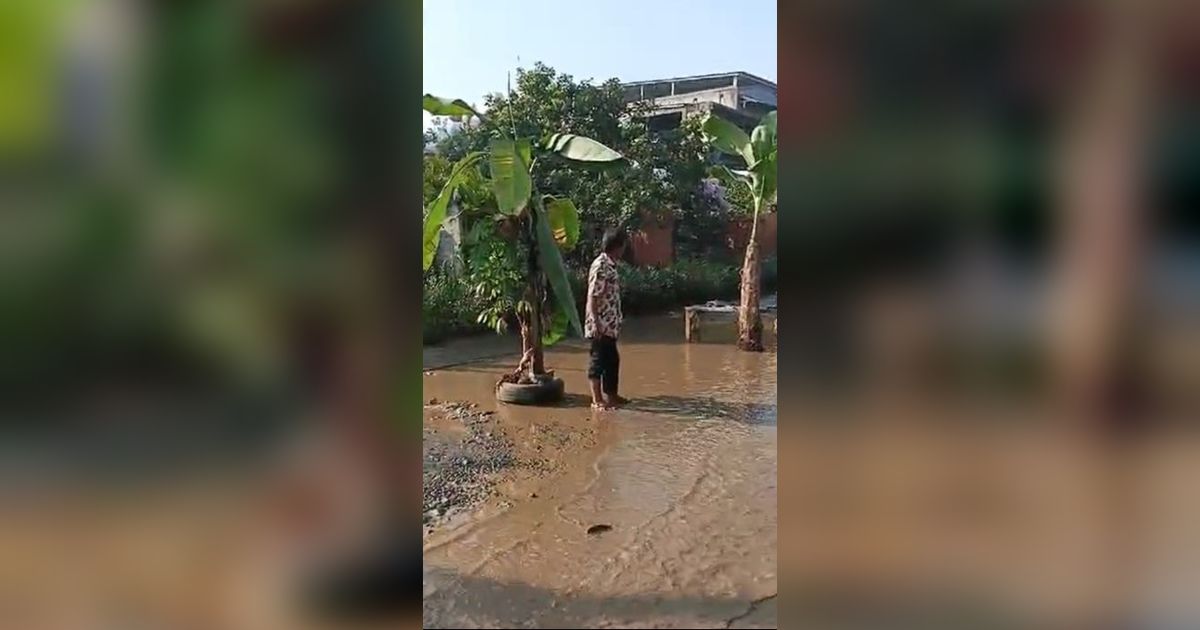 Dekat Rumah SBY, Warga Cikeas Demo Jalan Rusak Parah hingga Tanami Pohon Pisang di Tengah Jalan