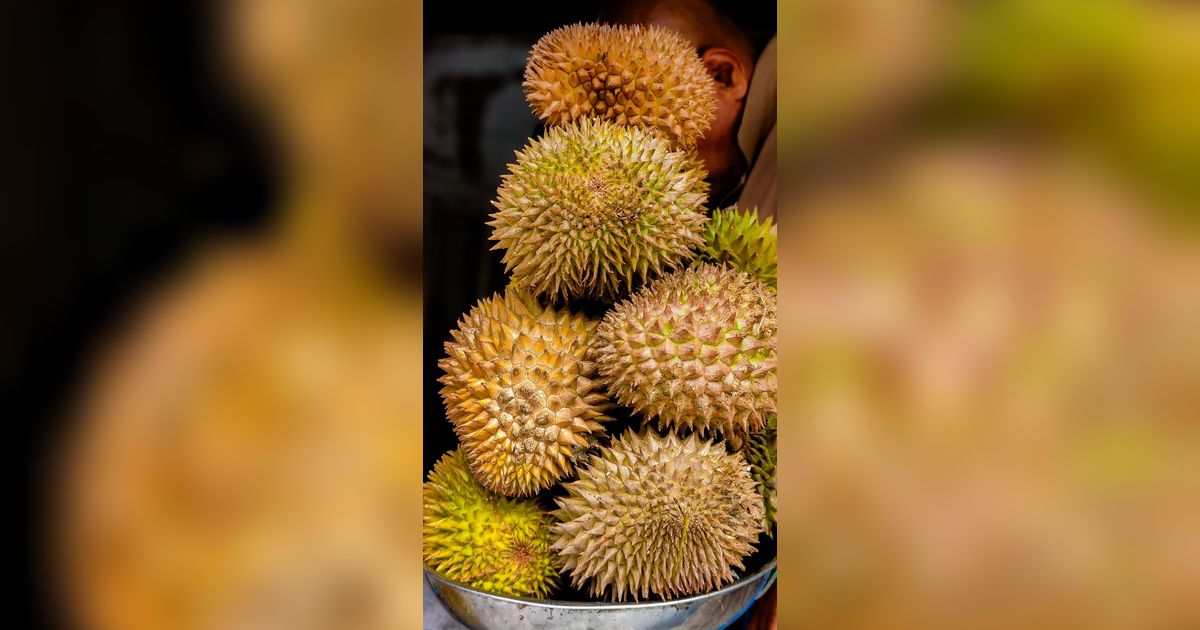 Legit, Bisnis Durian Bisa Raup Untung Rp20 Juta Satu Pekan
