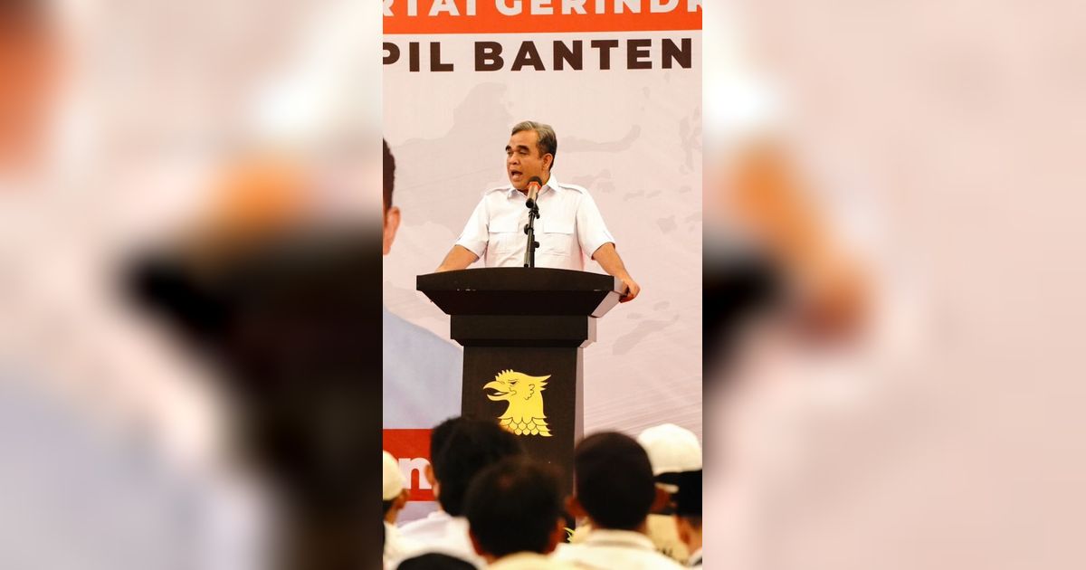 Klaim Pemilu 2024 Lebih Baik dari Sebelumnya, Gerindra Anggap Tidak Perlu Hak Angket DPR