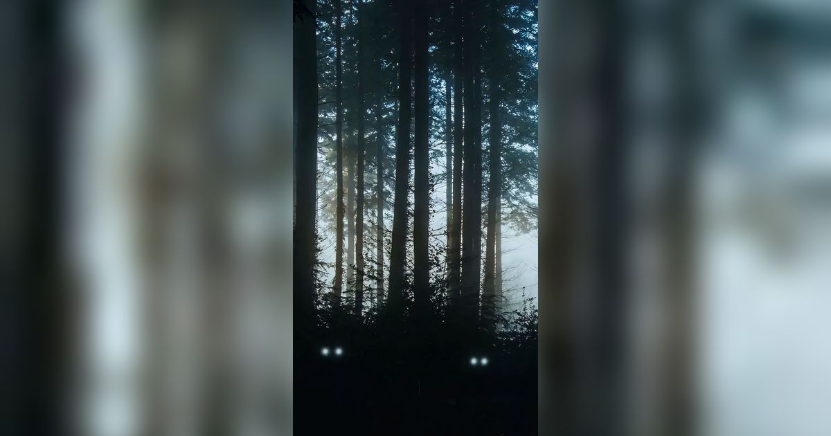 Merinding! Pasang Kamera di Hutan Buat Pantau Rusa dan Satwa Liar, Malah Rekam Makhluk Seram dengan Mata Bersinar di Kegelapan Malam