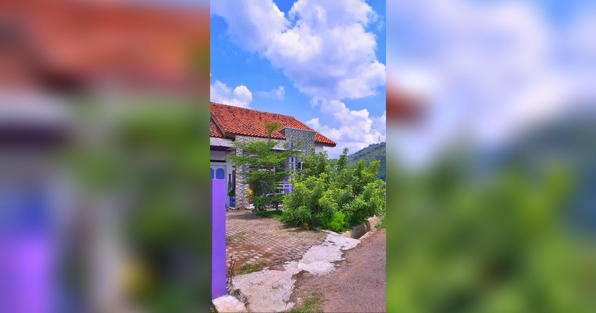 Potret Adem Rumah Ungu Tepi Sawah, Jauh dari Tetangga