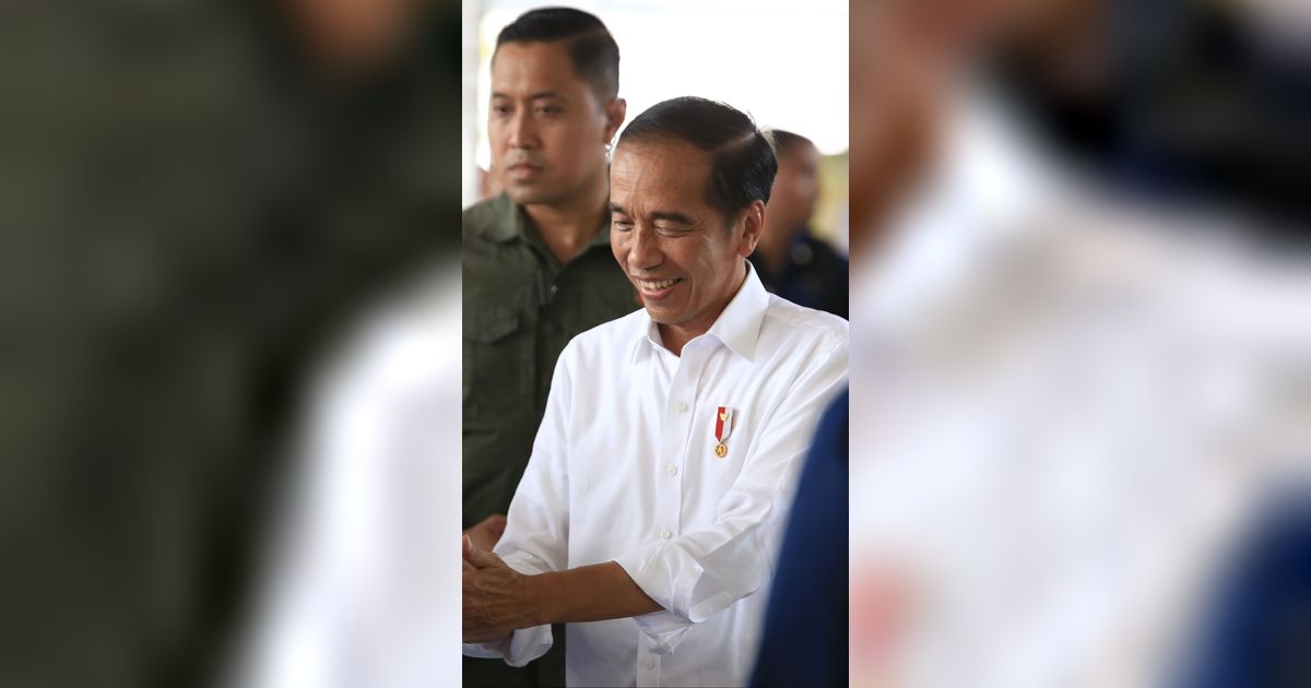 Jokowi soal Harga Beras Naik: Bukan Cuma di Negara Kita, Negara Lain juga Mengalami