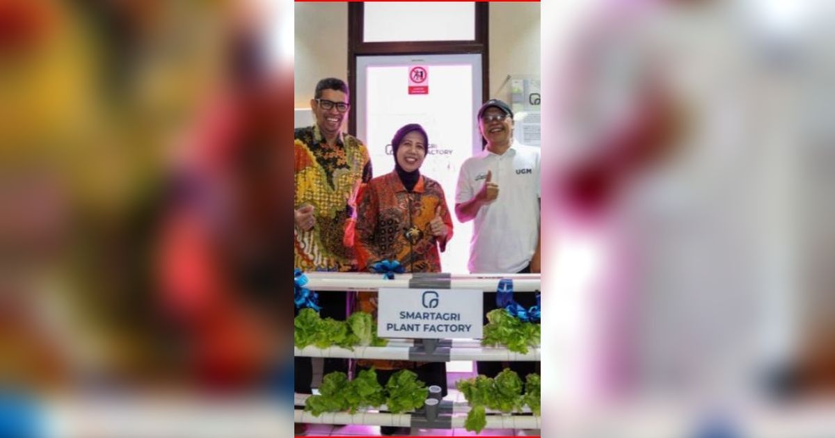 Dukung Pertanian Modern Berkelanjutan, UGM Luncurkan Teknologi Smart Agri Plant Factory