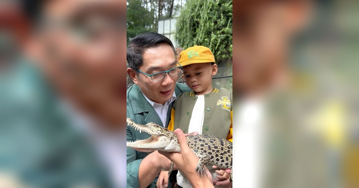 Kocak Banget, Ridwan Kamil Ajarkan 'Bahasa Buaya' Pada Putra Kecilnya