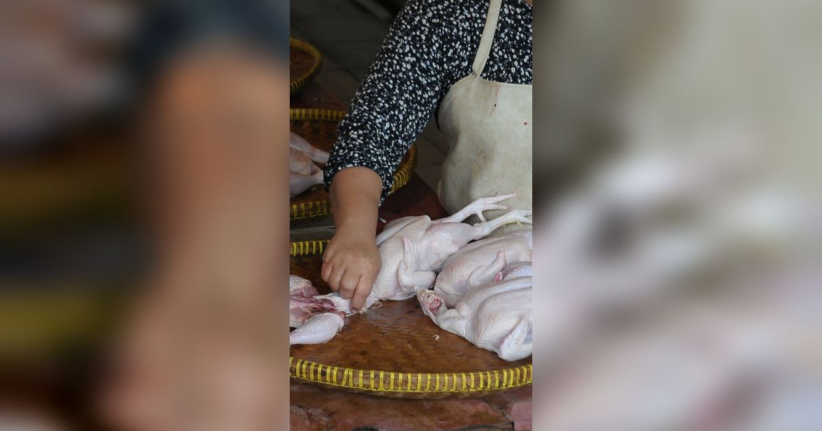 FOTO: Jelang Ramadan, Harga Daging Ayam Potong Melonjak hingga Rp45.000 per Kg