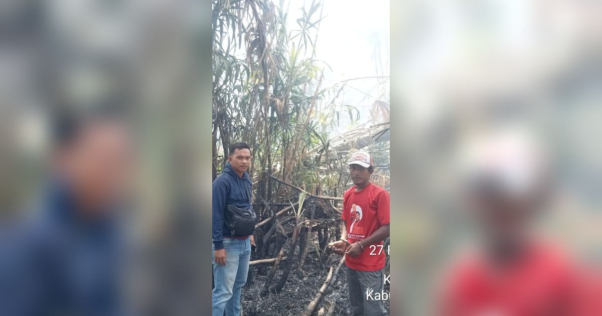 Petani Ditangkap Usai Bakar Satu Hektare Lahan Kebun Sawit di Riau