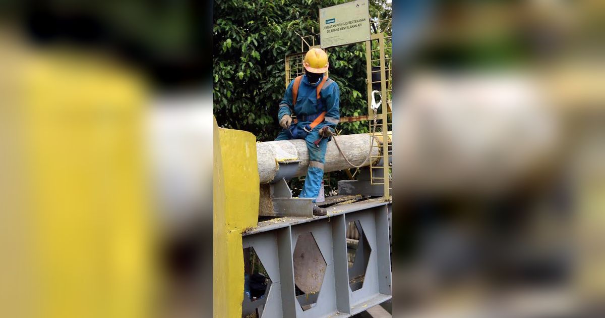 Harga Gas Murah Belum Terserap 100 Persen, SKK Migas Bongkar Penyebabnya