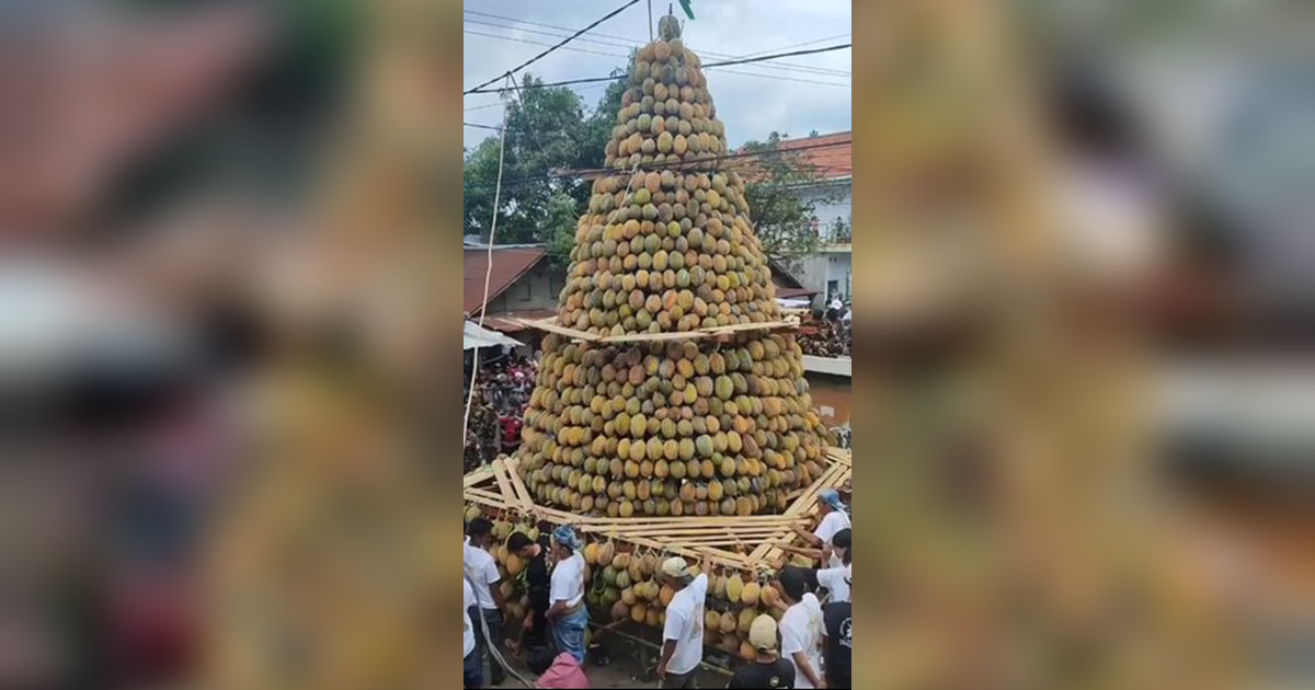 Viral Gunungan Durian Raksasa di Pasuruan, Begini Penampakannya