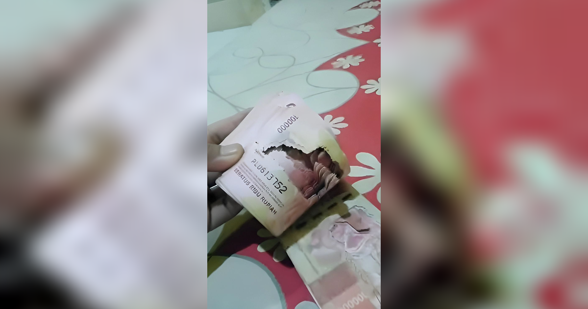 Momen Pria Temukan Uang Tabungannya Raib Dimakan Rayap, Nyesek Banget!