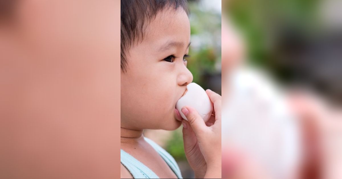 Si Kecil Selalu Ingin Makan Telur Setiap Hari, Bolehkah? Dokter Beri Penjelasan