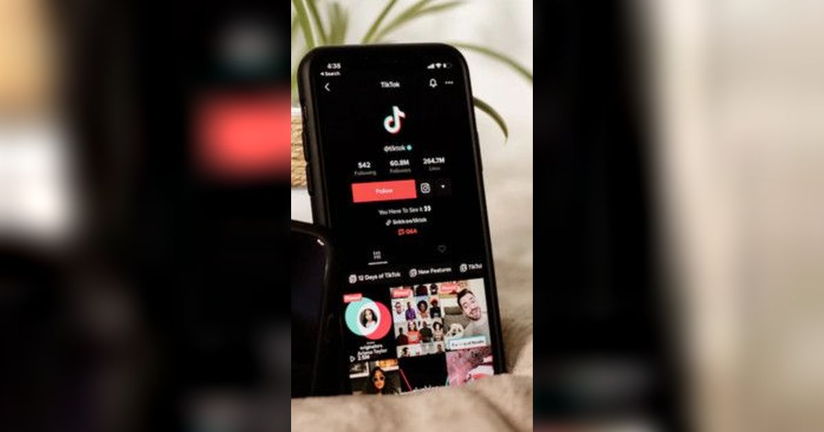 Pamor TikTok Mulai Turun, Ternyata Ini Biang Keroknya