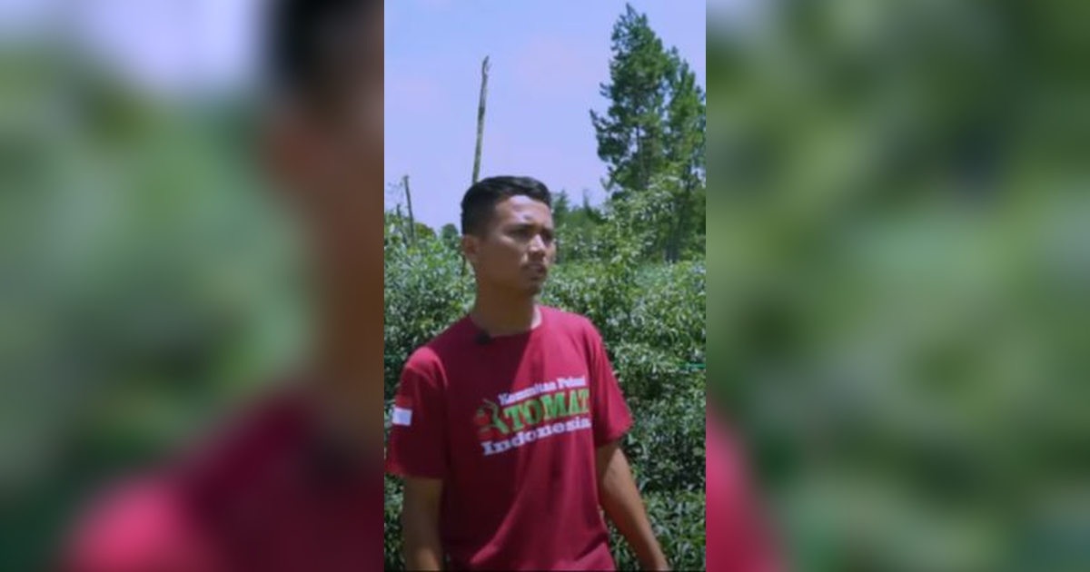 Sempat Dilarang Ortu Jadi Petani, Pria Lulusan SMK Asal Humbahas Buktikan Sukses Beli Tanah Berhektar dari Panen Cabai