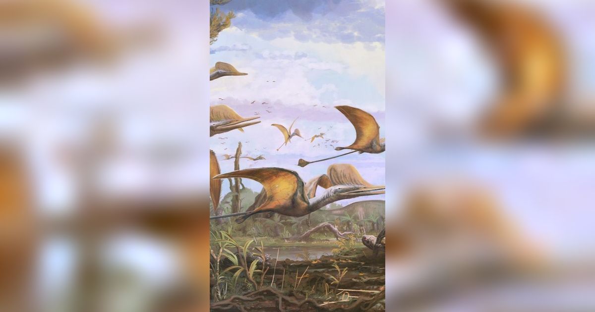 Spesies Baru Pterosaurus Ditemukan, Sayapnya Selebar 1,5 Meter