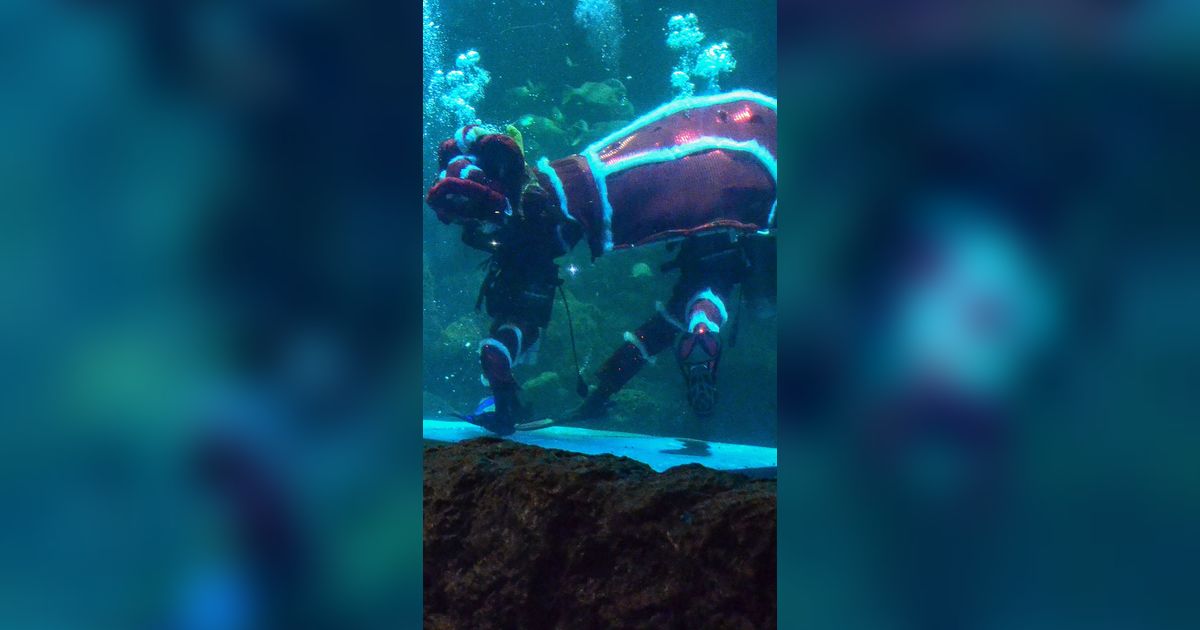 FOTO: Menyaksikan Atraksi Barongsai di Akuarium Sea World Ancol Jelang Perayaan Imlek