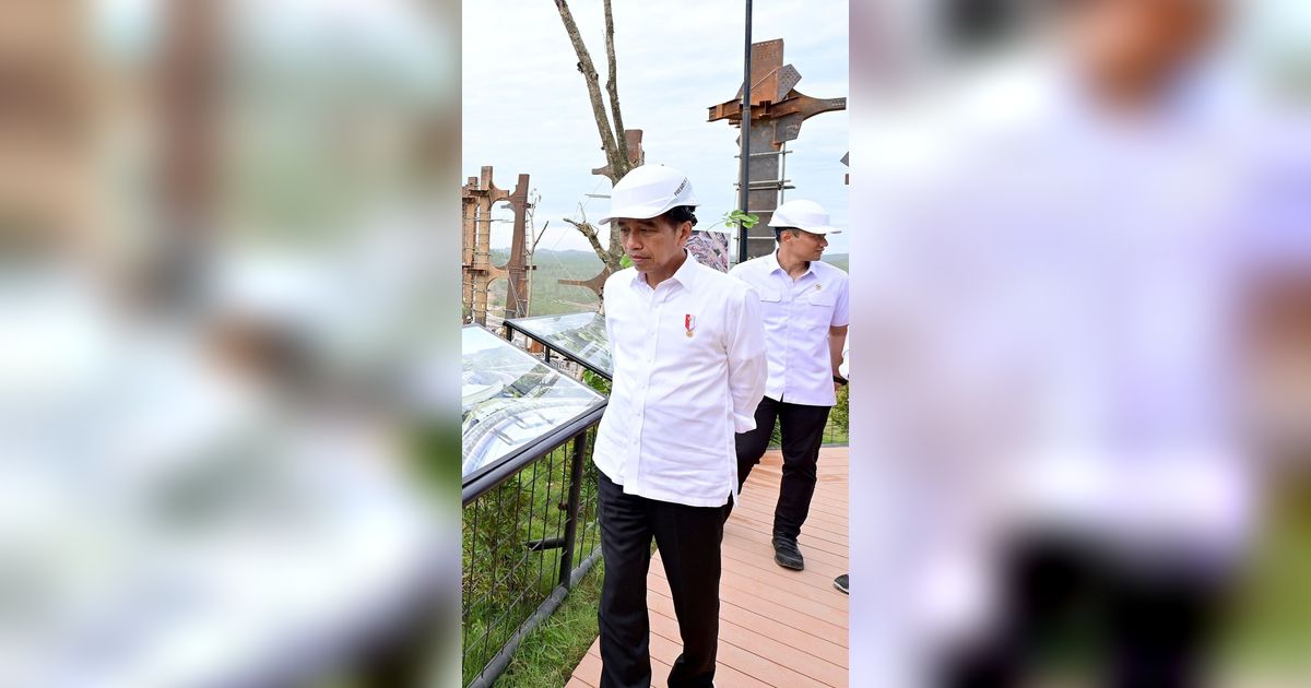 Jokowi Klaim Investor Makin Yakin Investasi di IKN Usai Pemilu 2024, Banyak yang Antre