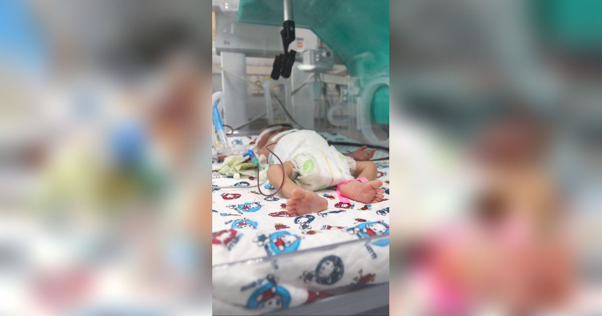 Dokter Palestina: Tentara Israel Abaikan Bayi di Rumah Sakit Sampai Meninggal dan Membusuk