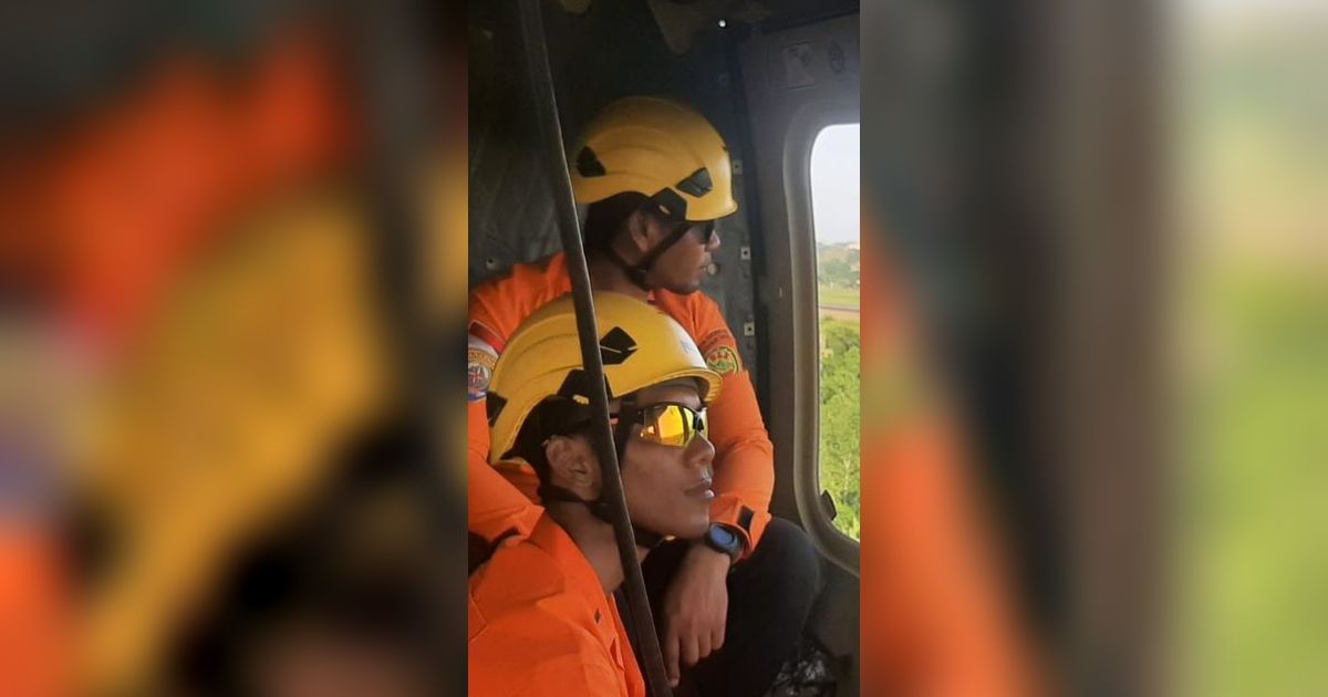 Pilot Pesawat Kargo Smart Air yang Jatuh Ditemukan, Kondisi Selamat