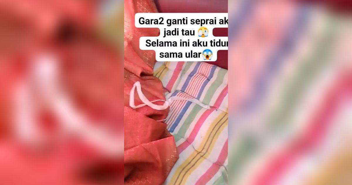 Ngeri! Wanita Ini Tak Sadar Selama Ini Tidur Bareng Ular Usai Menemukan Kulitnya di Bawah Sprei