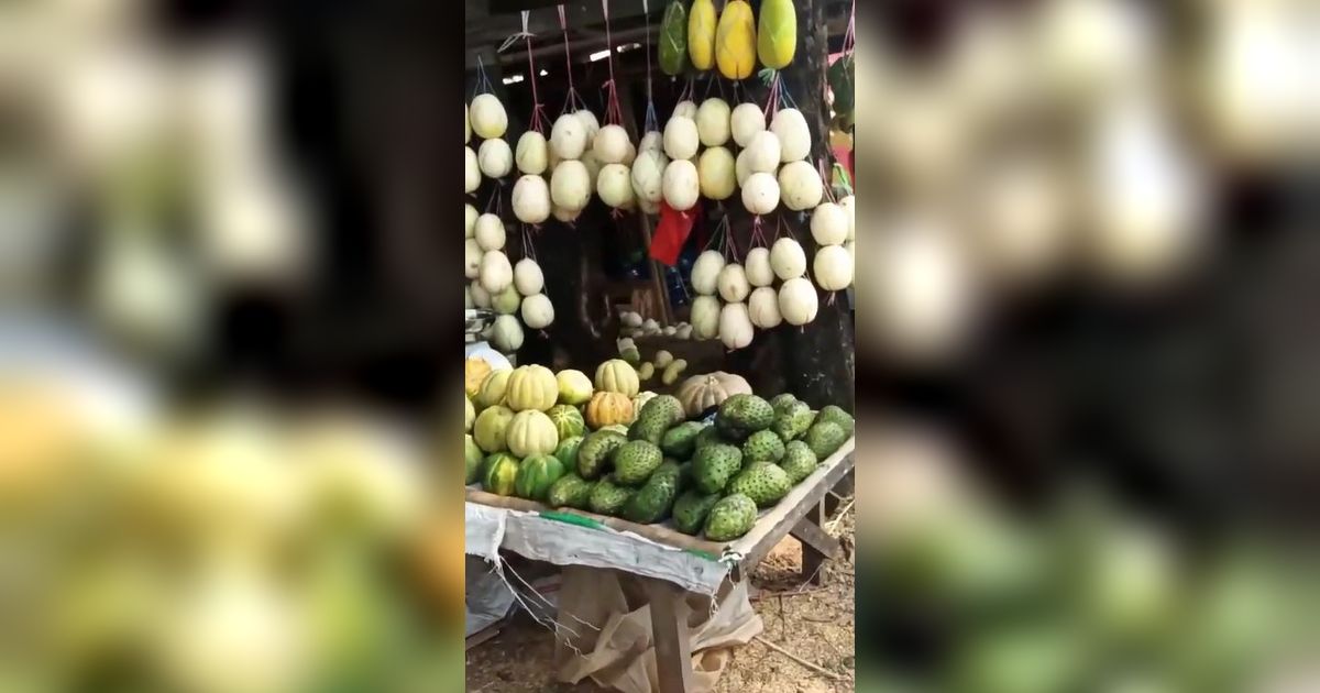 Desa Sriamur Jadi Lokasi Wisata Timun Suri di Bekasi saat Ramadan, Ini Sederet Daya Tariknya