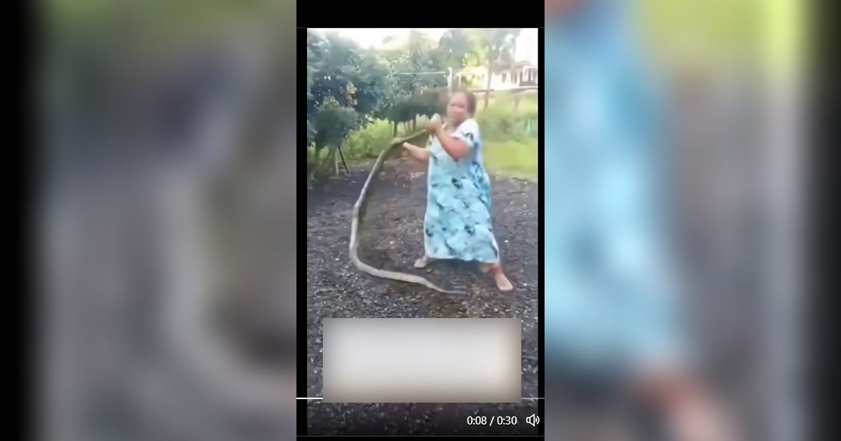 Ular Piton Tak Ada Harga Dirinya Dibanting 'Ras Terkuat di Bumi' Usai Ketahuan Curi Ayam: Panji Petualang Nangis Lihat Ini