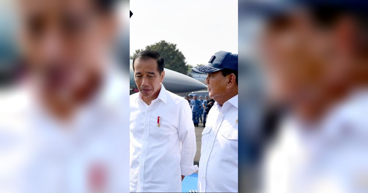 Komite HAM PBB Pertanyakan Netralitas Jokowi di Pemilu 2024, Timnas AMIN: Tamparan Keras Bagi Pemerintah