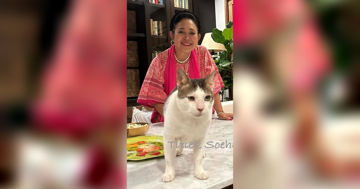 VIDEO: Titiek Soeharto Main Bareng Bobby Kucing, 'Calon Ibu Negara' Makin Sering Unggah Momen Mesra di Rumah Prabowo