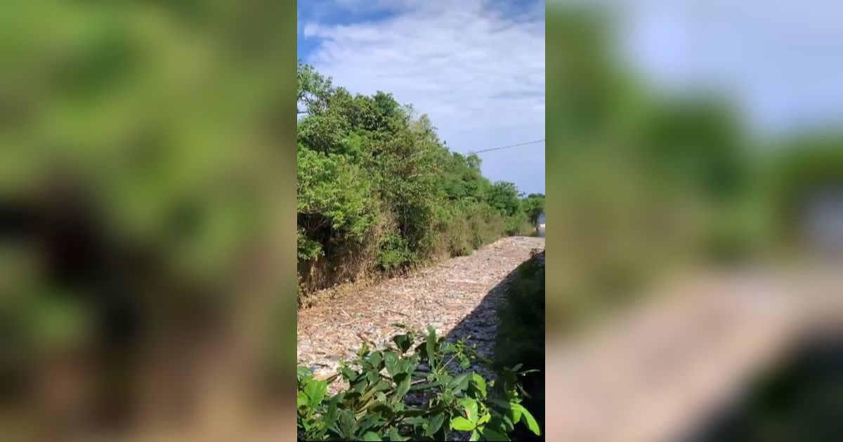 Viral 100 Ton Sampah Menumpuk di Muara Sungai Pantai Dreamland Bali, Ini Penjelasan Pemkab Badung