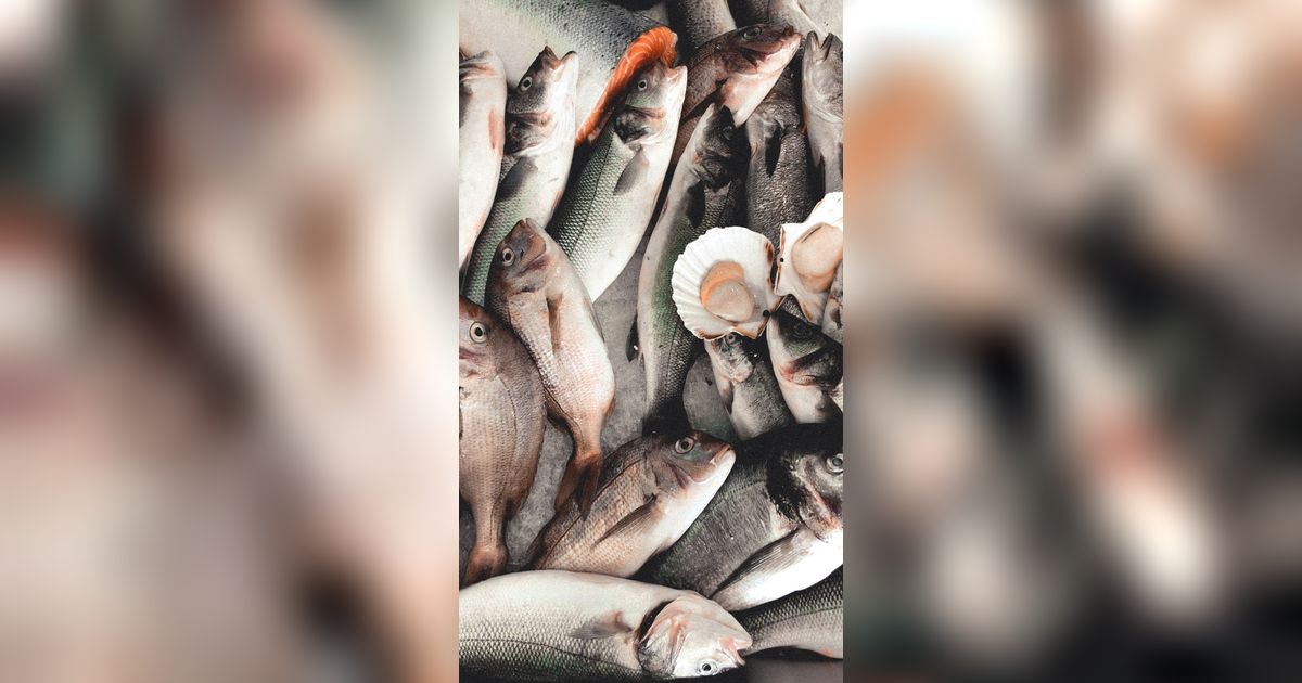 9 Ikan Lokal untuk MPASI, Mudah Dicari dan Efektif Bantu Cerdaskan Otak Anak