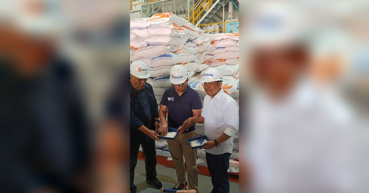 Pemerintah Lanjutkan HET Beras Premium Rp14.900 per Kg hingga April 2024