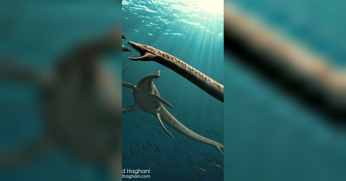 Para Paleontologi Sepakat Dinocephalosaurus Sebagai Reptil Laut dan Berkembang Biak di Air
