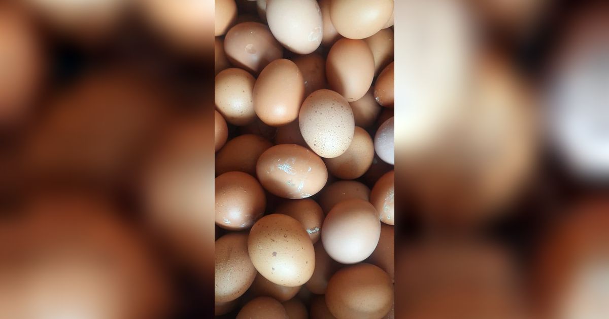Jangan Dicuci, Ini Cara Jaga Higienitas Telur dengan Tepat Selama Disimpan