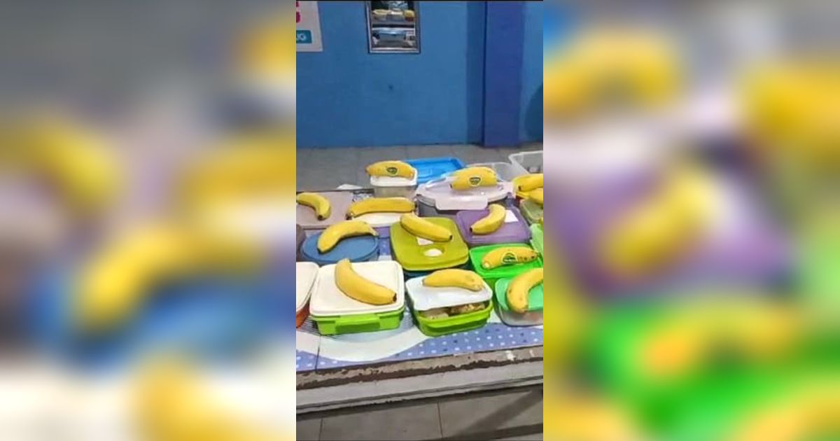 Hati-Hati, Program Makan Siang Gratis Bisa Gagal Total karena Faktor Ini