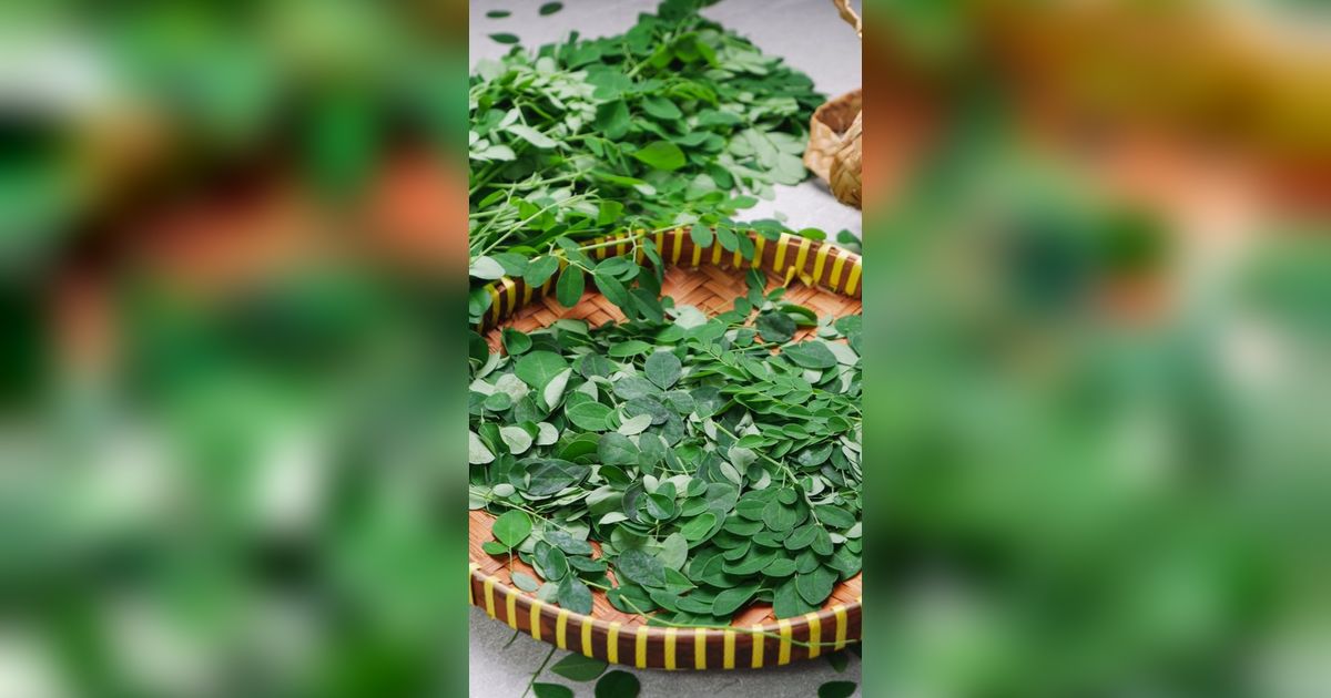 Kaya Nutrisi, Ini 4 Manfaat Daun Kelor Bagi Kesehatan Tubuh yang Jarang Diketahui
