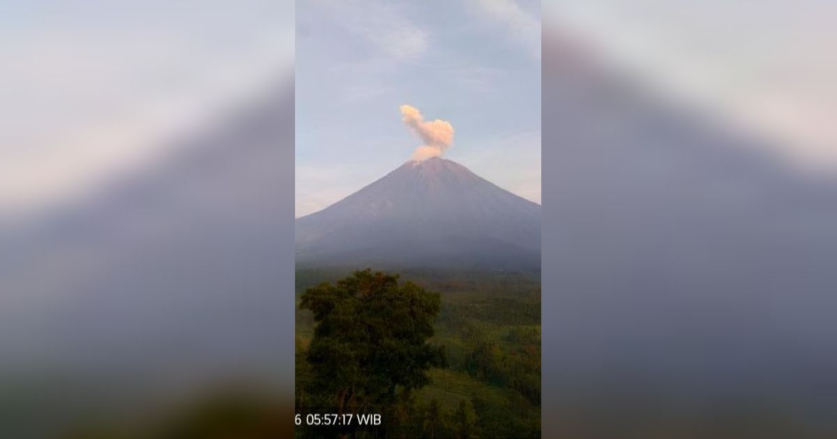 Gunung Semeru Erupsi Lagi, Semburkan Abu Setinggi 800 Meter