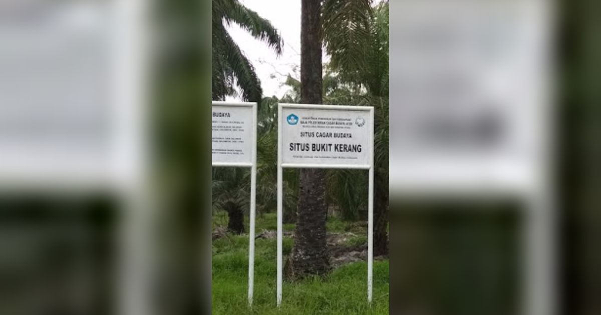 Banyak Ditemukan Sampah Molusca, Ini Fakta Menarik Situs Bukit Kerang di Aceh Tamiang
