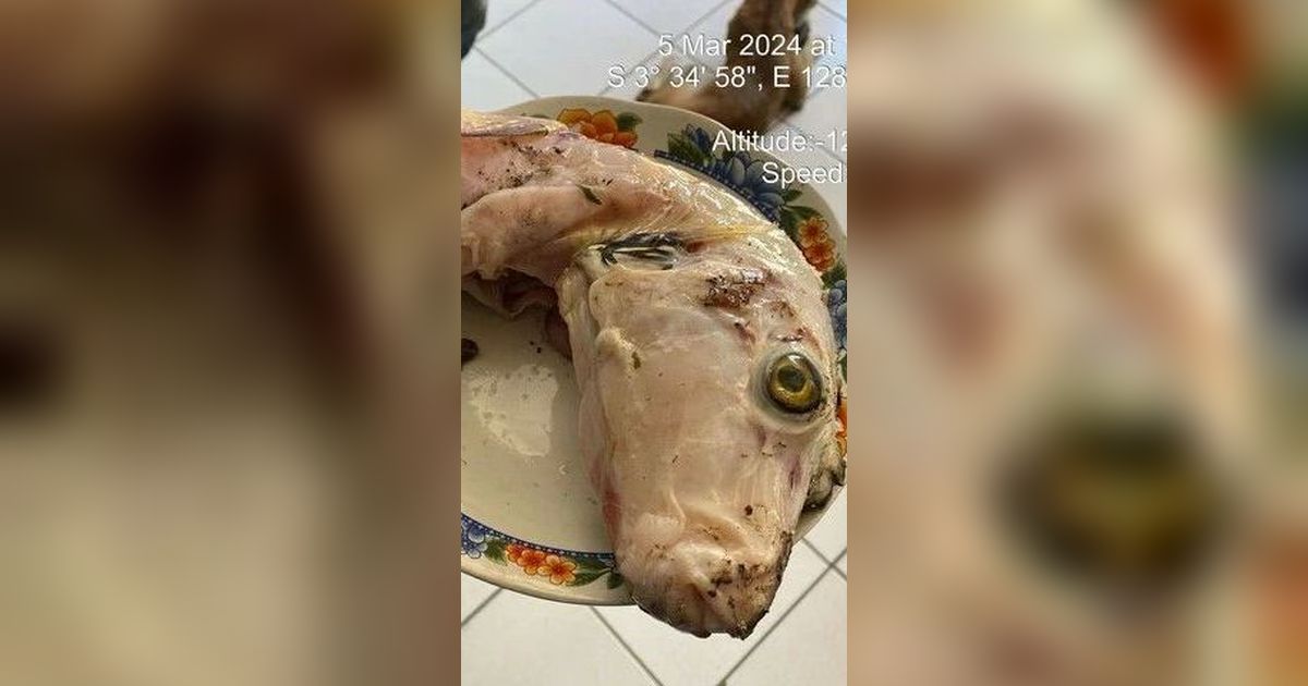 Pilu, Ibu dan Dua Anak di Maluku Tengah Meninggal Dunia Usai Makan Telur Ikan Buntal