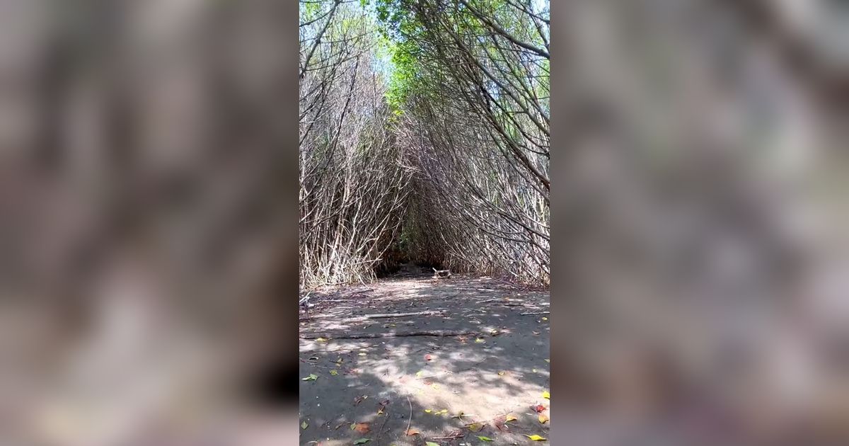 Belum Banyak Didatangi, Yuk Intip Eksotisnya Pulau Burung di Subang yang Jadi Hidden Gems