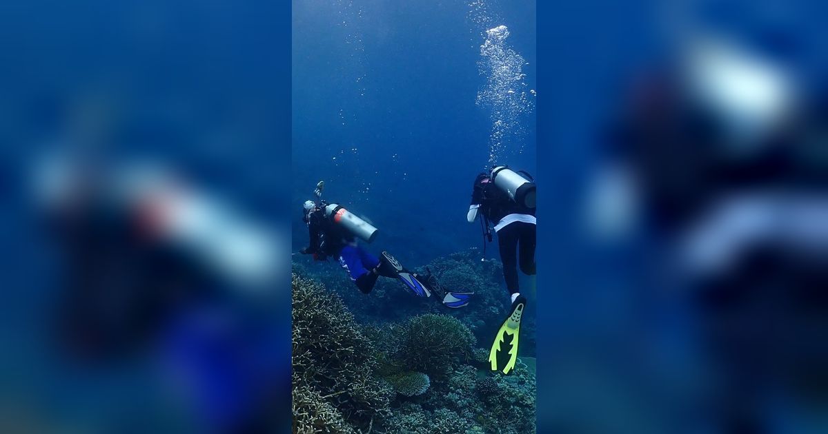 Waspadai Suhu Air Laut Naik, KKP Kaji Fenomena Pemutihan Karang