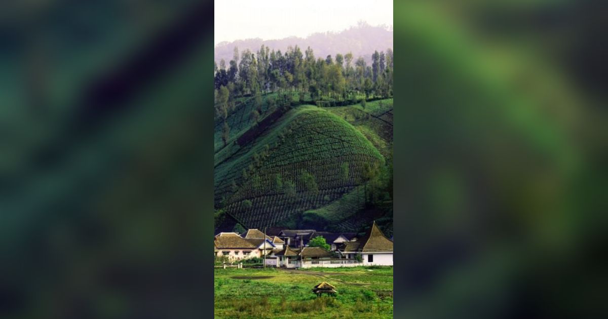 Mengunjungi Desa Ranu Pani, Gerbang Pendakian Menuju Puncak Gunung Semeru